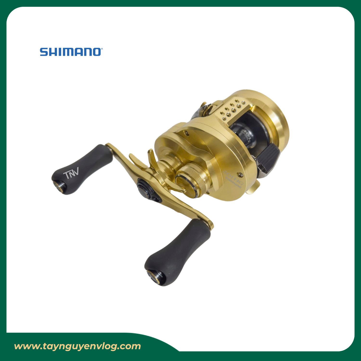 Shimano Calcutta Conquest 201HG 2021 - Hình ảnh 4