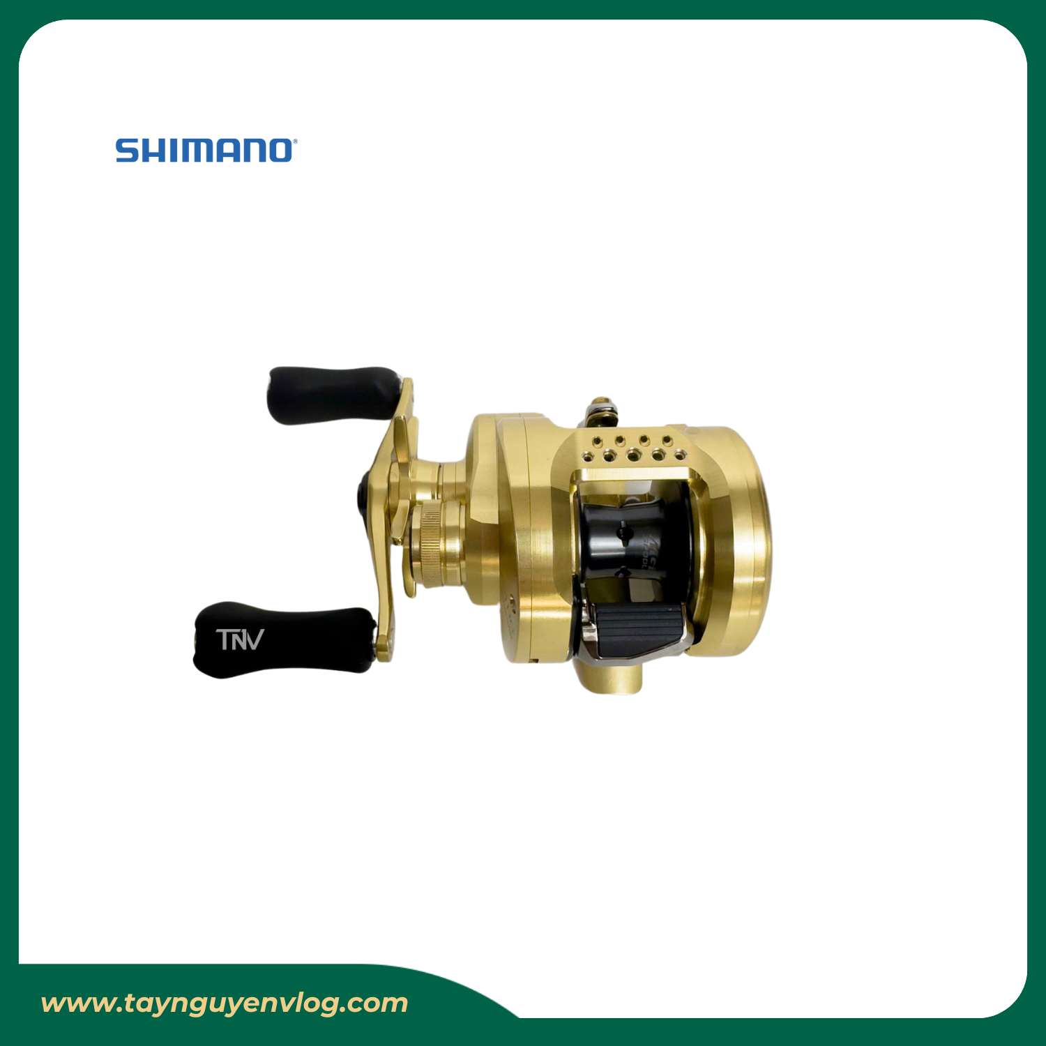 Shimano Calcutta Conquest 201HG 2021 - Hình ảnh 3