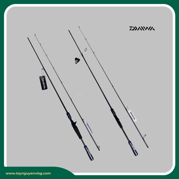 Daiwa Infeet