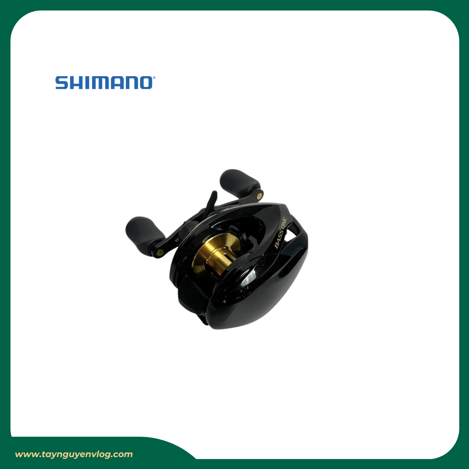 Shimano Bass One XT 151HG - Hình ảnh 4