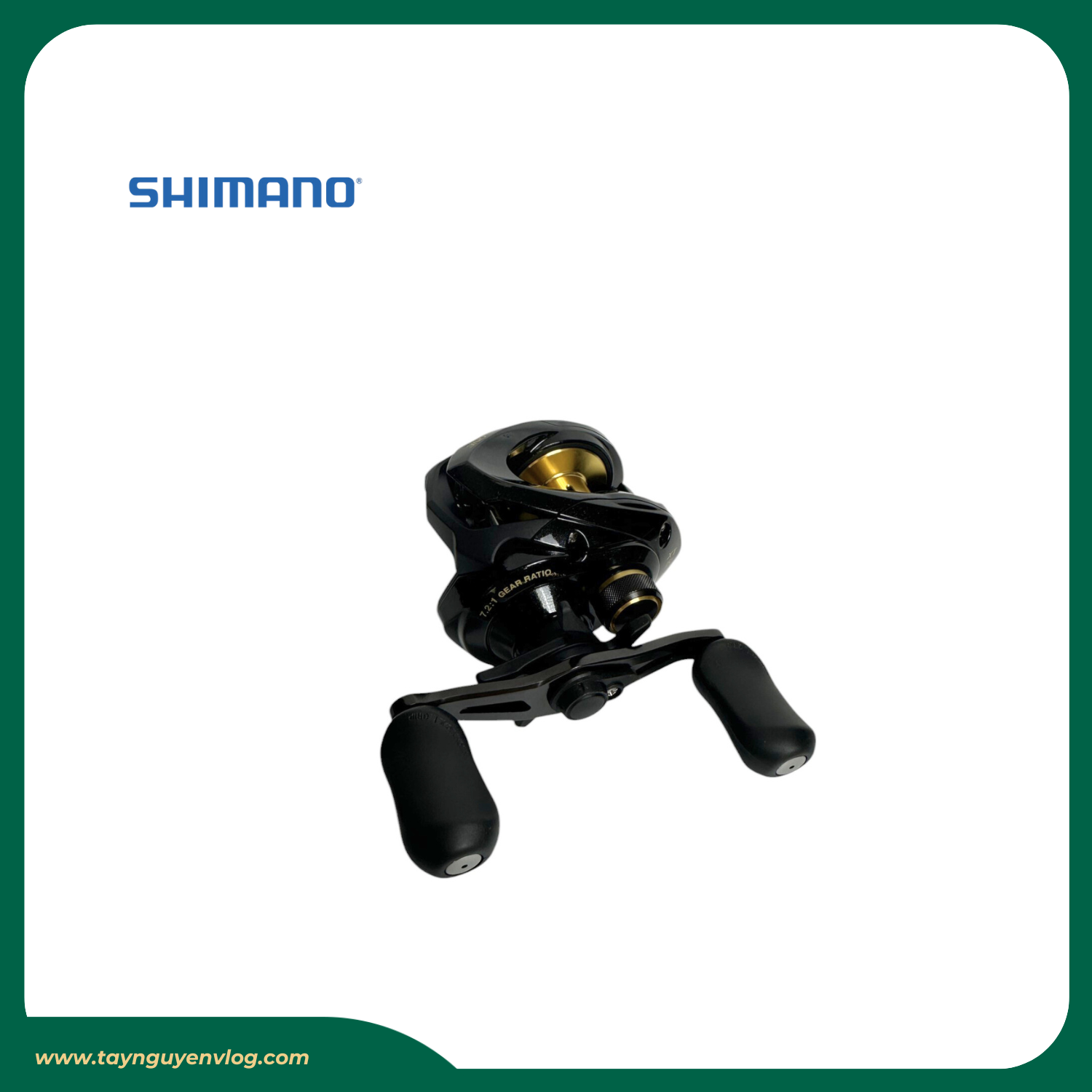 Shimano Bass One XT 151HG - Hình ảnh 6