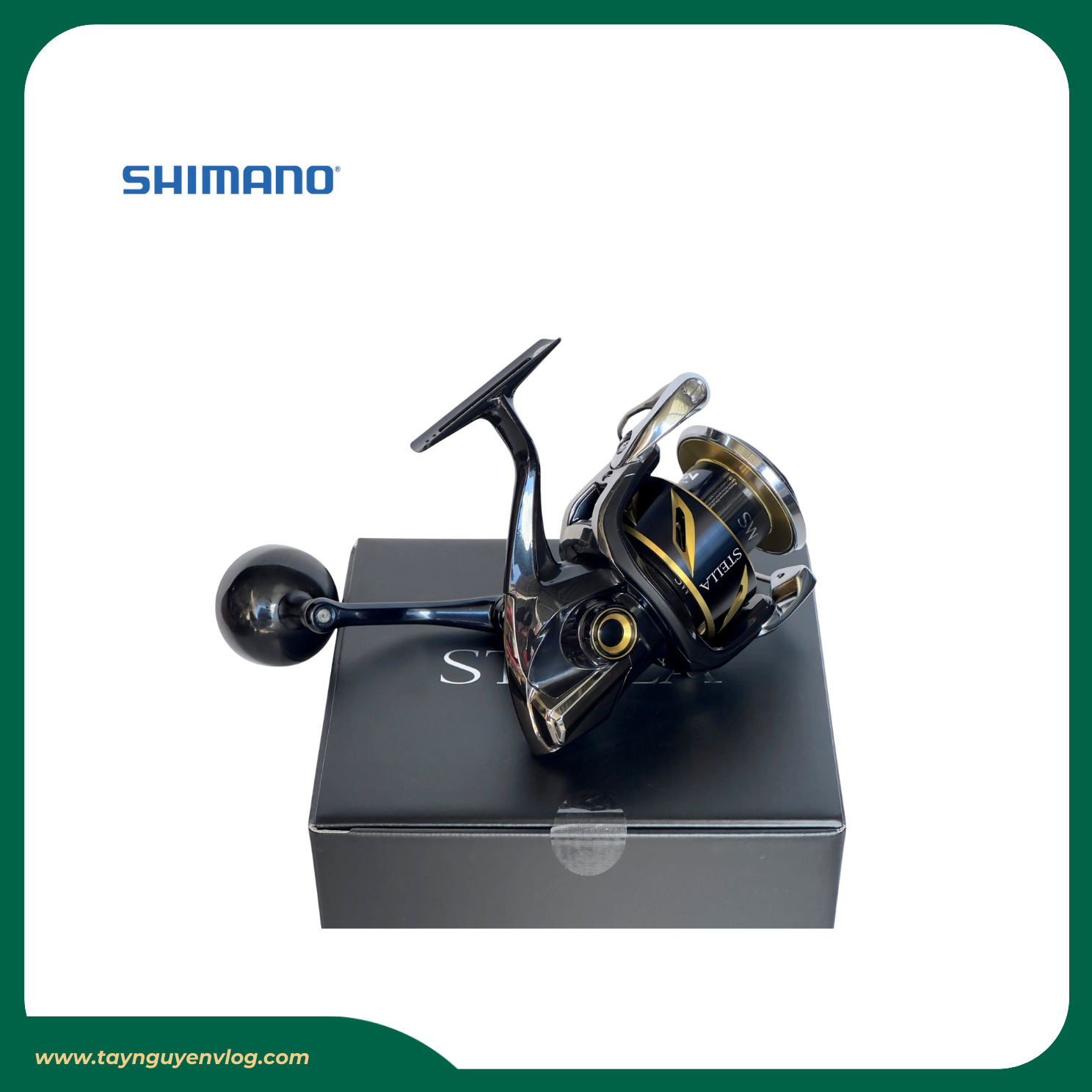 Shimano Stella SW 2020 - Máy đứng câu biển Stella SW 2020, Stella Saltwater - Hình ảnh 5