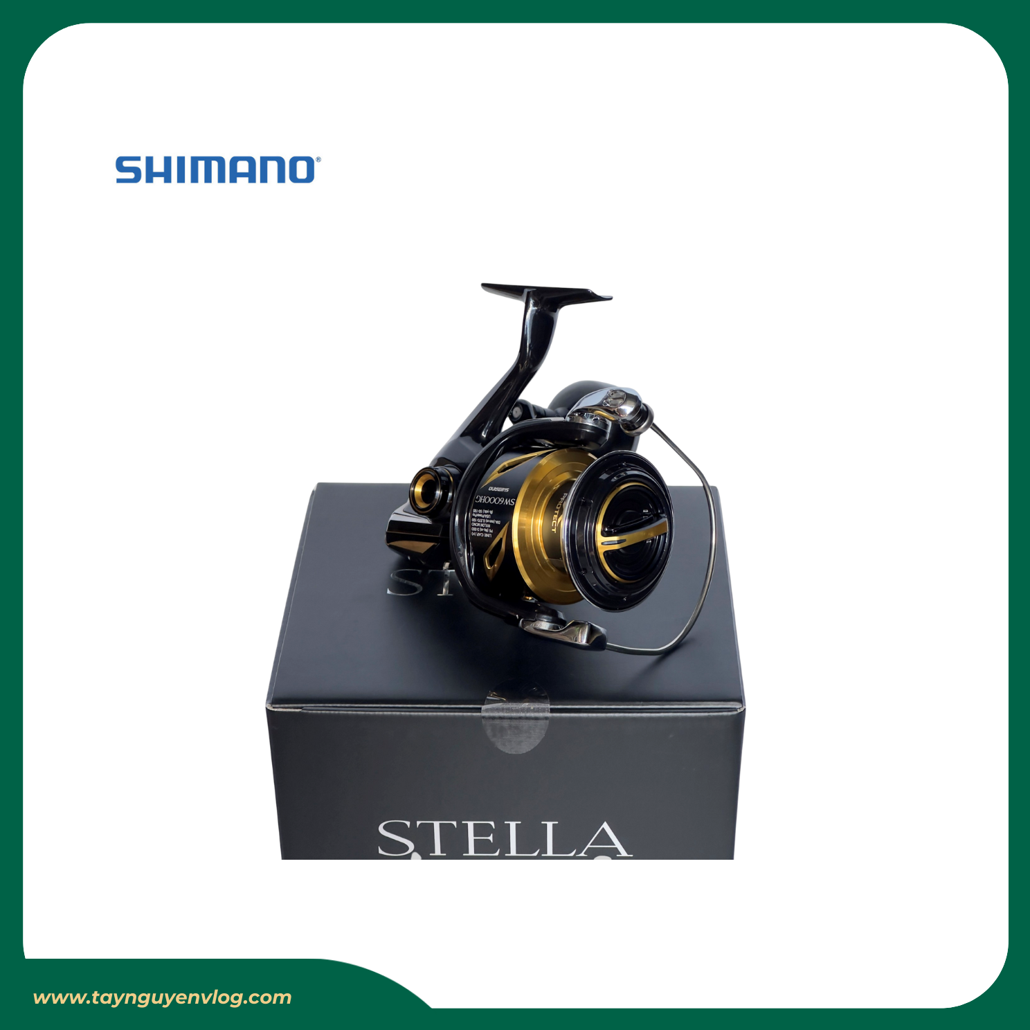 Shimano Stella SW 2020 - Máy đứng câu biển Stella SW 2020, Stella Saltwater - Hình ảnh 2