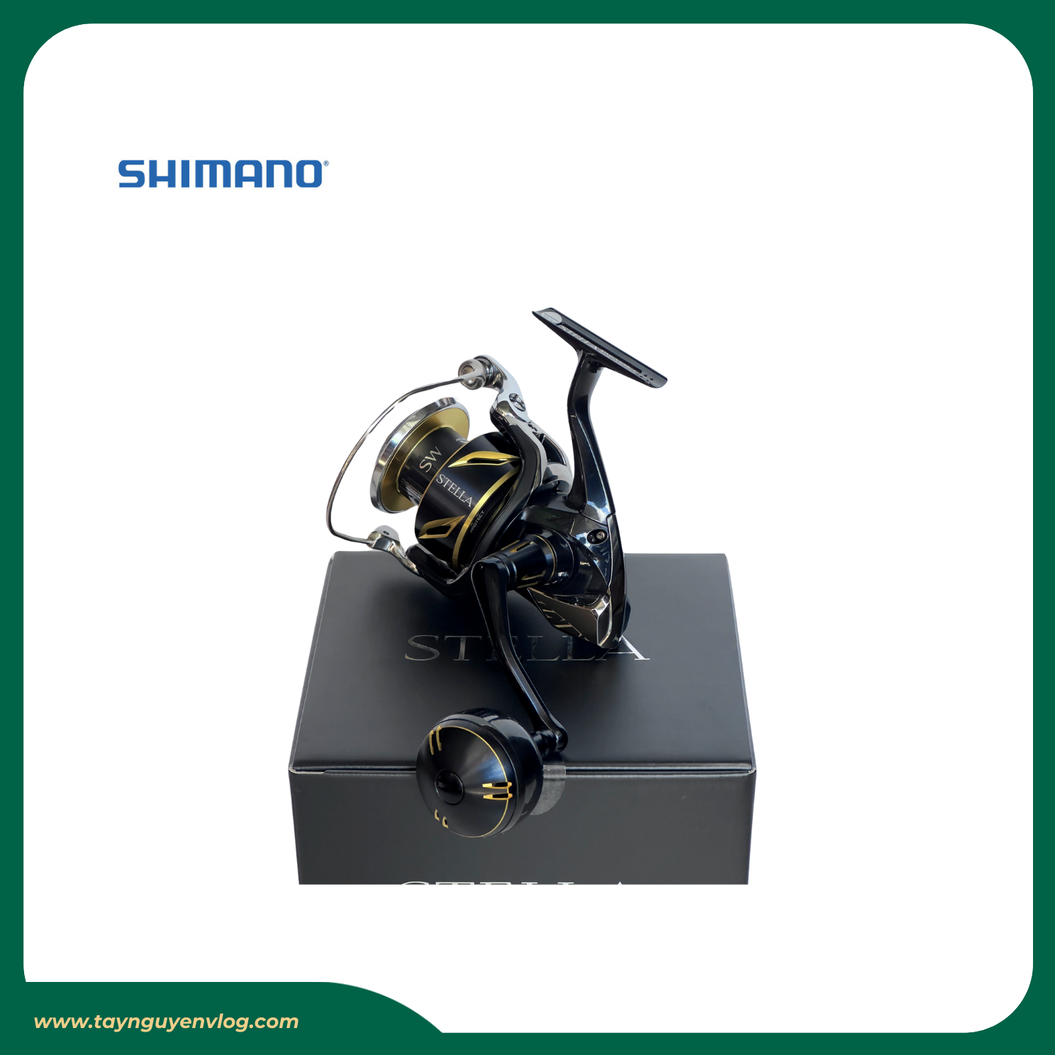 Shimano Stella SW 2020 - Máy đứng câu biển Stella SW 2020, Stella Saltwater - Hình ảnh 3