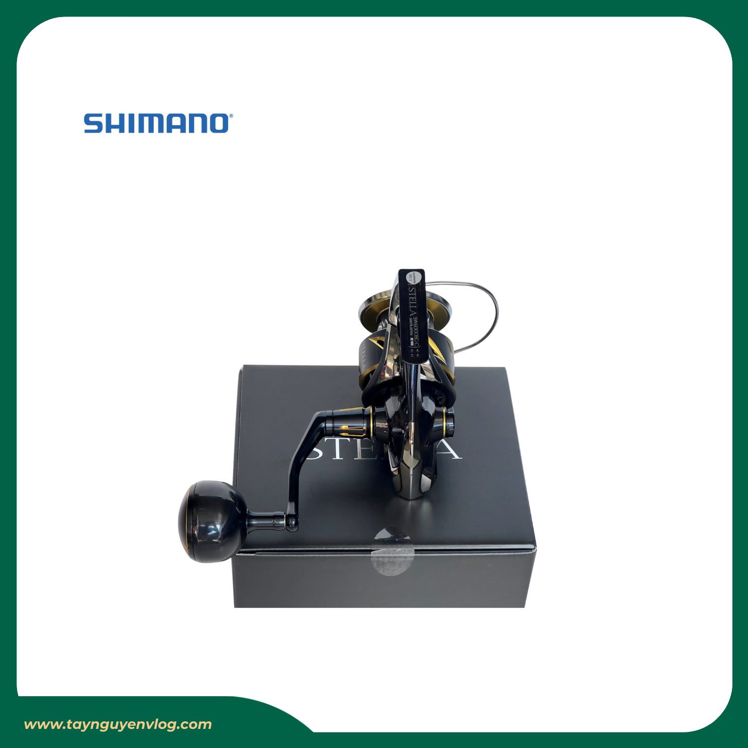 Shimano Stella SW 2020 - Máy đứng câu biển Stella SW 2020, Stella Saltwater - Hình ảnh 4