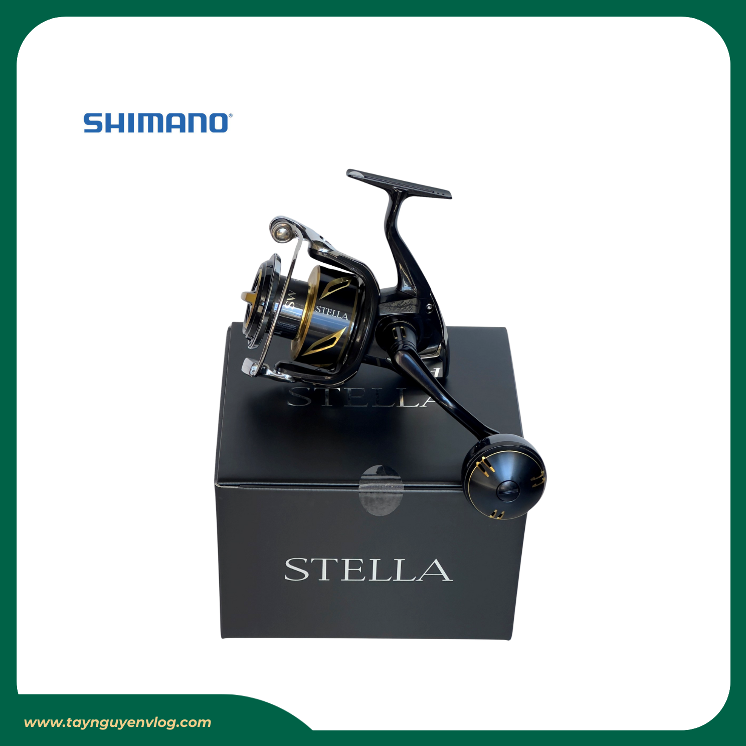 Shimano Stella SW 2020 - Máy đứng câu biển Stella SW 2020, Stella Saltwater